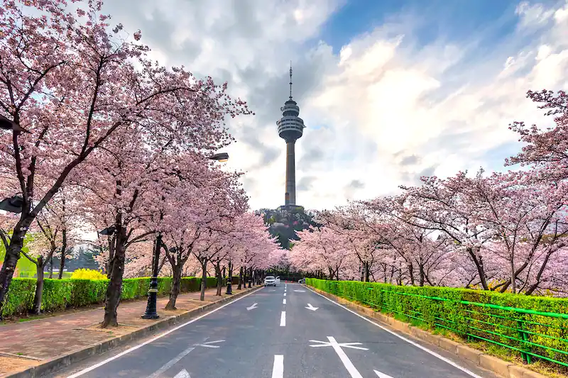 Daegu, Korea